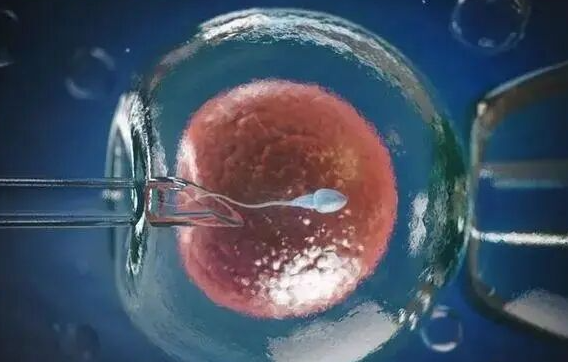 2025贵州试管婴儿生男孩要多少费用？完整价格明细快看这里