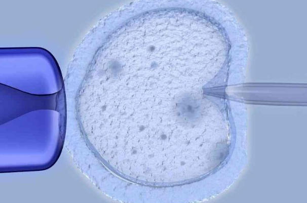 乳房胀痛是胚胎移植成功的信号