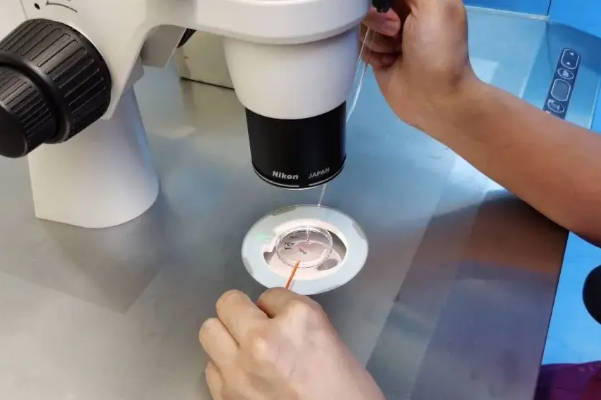 北京妇产医院可以做一代试管