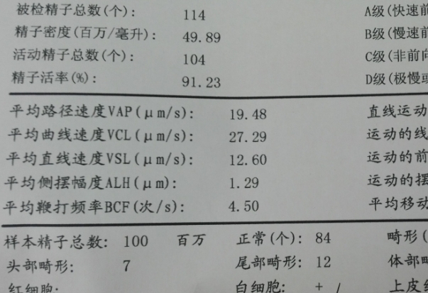 做三代试管婴儿前男方精子报告主要看哪几个数值？