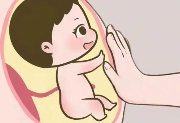 不备孕怀孕几率是多大，概率因人而异