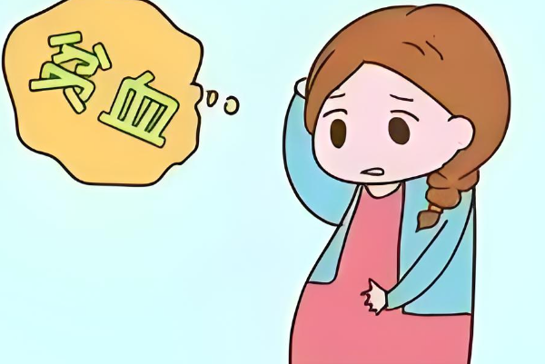 试管双胎孕妇更易贫血
