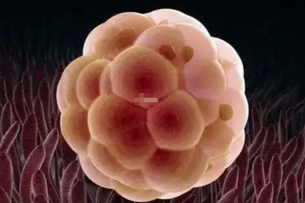 试管移植成功后14天可以测出来