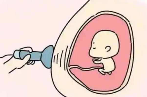 营养供给会影响胚胎发育