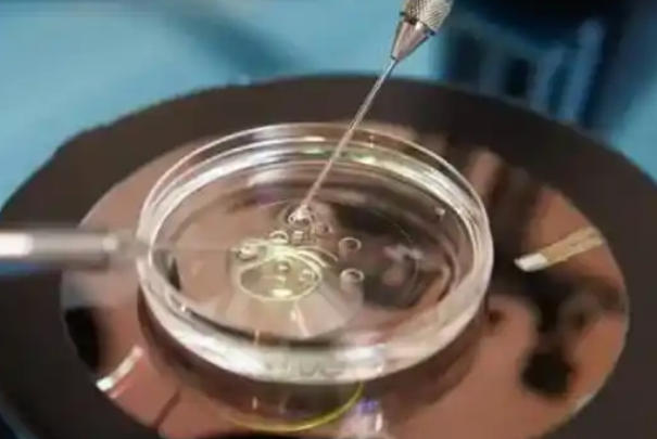济南试管婴儿成功率有多少，具体概率受年龄、技术水平等影响