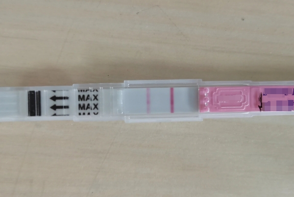 已受孕后排卵试纸图片，验孕还是要专业的工具测比较好
