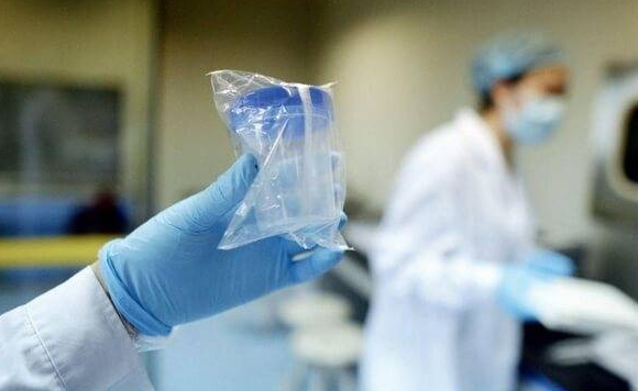 2024美国精子库购买流程教学，手把手教会选购精源
