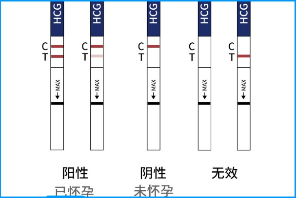 第一次使用验孕试纸的检测结果怎么看才正确求图解？