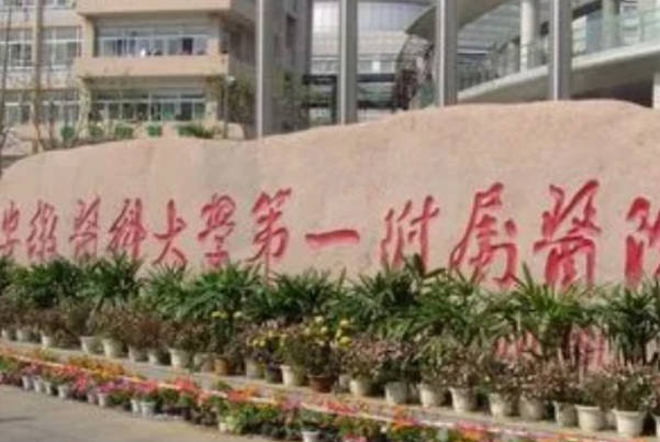 安徽医科大学医院可做供精试管