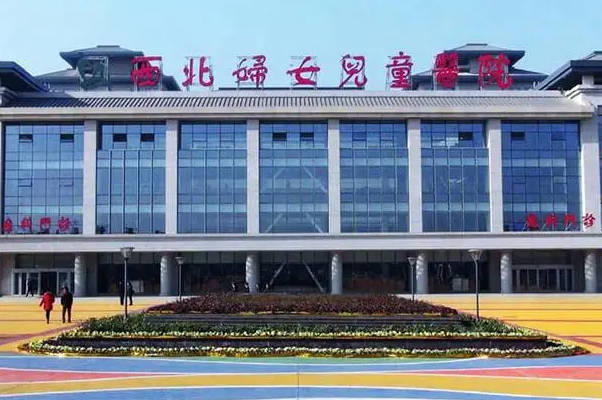 西北试管婴儿排名前十名的医院，前几名成功率可观