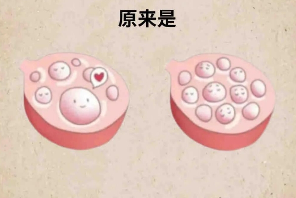 多囊通过科学调理可以提高怀孕几率