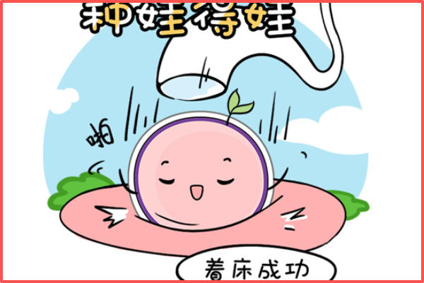 移植后着床没有症状是正常的