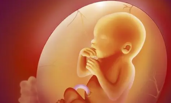 在赣州妇幼做一次试管费用多少 赣州妇幼二代试管费用明细