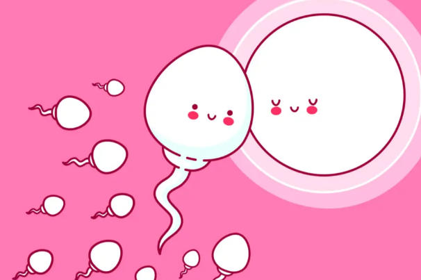 怎么样才能备孕成功，科学方法助你轻松怀上宝宝