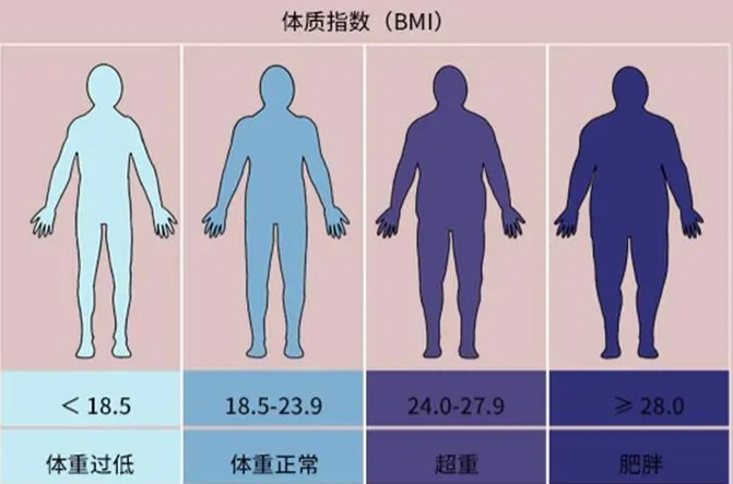肥胖指数bmi对照一览表，可以随时评定自己的身体状况