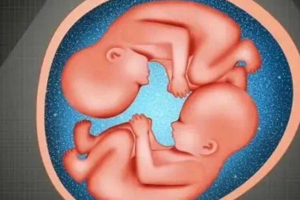 遗传基因会影响备孕双胞胎的成功率