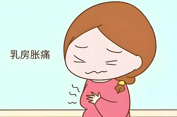 胚胎着床成功后会乳房胀痛