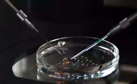 试管婴儿方案是一种技术复杂的医疗方法