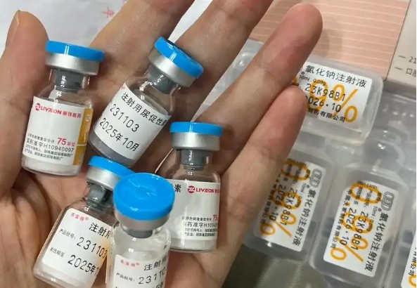 促排药物可以让卵泡快速发育