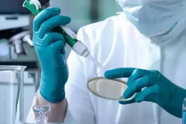 乌克兰做试管成功率可达到70%
