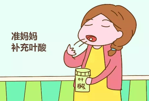 叶酸可以预防胎儿神经管的缺陷问题