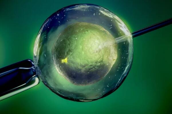 试管移植5aa囊胚一次性成功5周后胎停是为什么？