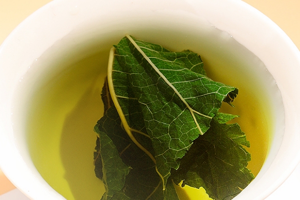 备孕期的女性可以每天喝桑叶泡的茶水吗？