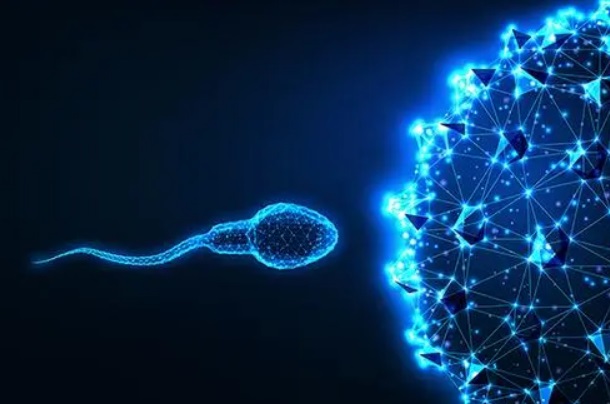 精子没有完整形态可以做二代试管吗？