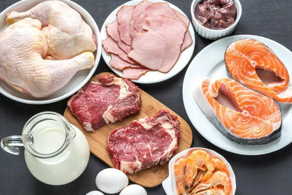 为什么试管婴儿促排期间建议高蛋白饮食啊?