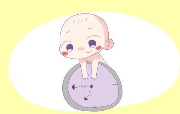 试管做出来的孩子和算命没关系