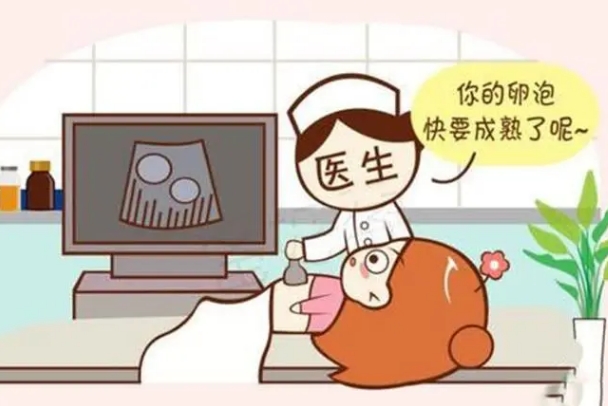 进行腹部B超需取平卧位