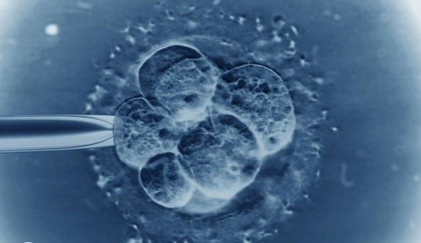 芜湖弋矶山医院试管婴儿价格参考，2023助孕费用筹算指南