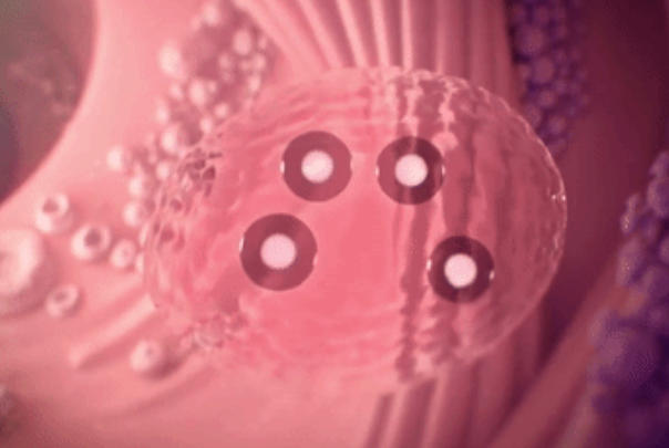 胚胎移植第五天可能已经着床成功了