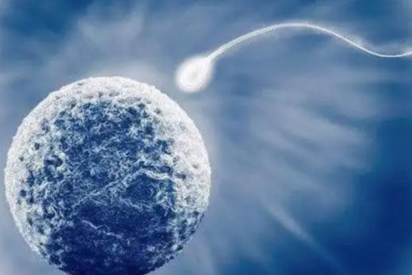 试管鲜胚移植后几天能测出怀孕？一文读懂检测时间与关键因素