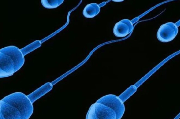 男性精子正常形态8%可以做三代试管生育吗？