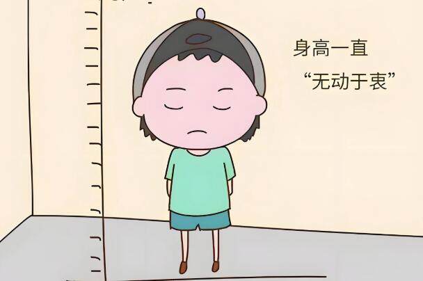饮食习惯会影响身高