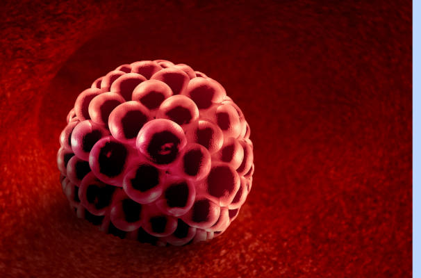 囊胚着床会出现轻微出血