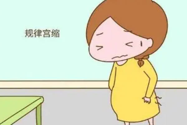 女性在孕25周时已经到了孕中期