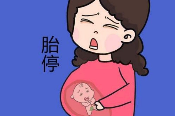妊娠八周胎停了怀孕12周去医院做阴超检查才发现该怎么办？