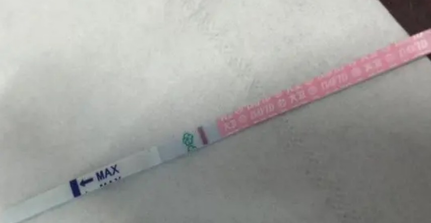 试纸淡粉色还没排卵