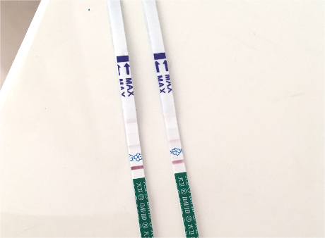 囊胚移植后七天可进行怀孕检测