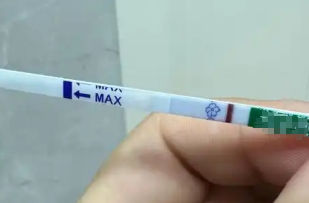 试管移植囊胚第五天早孕试纸测不到两条杠就是没希望了是吗?