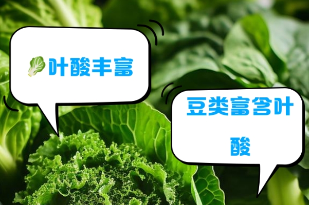 备孕前吃什么调理身体有助于怀孕，叶酸补充是必须的