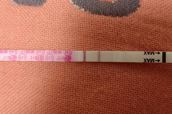 排卵试纸半定量的优势解读，看完就知备孕有没有必要入手