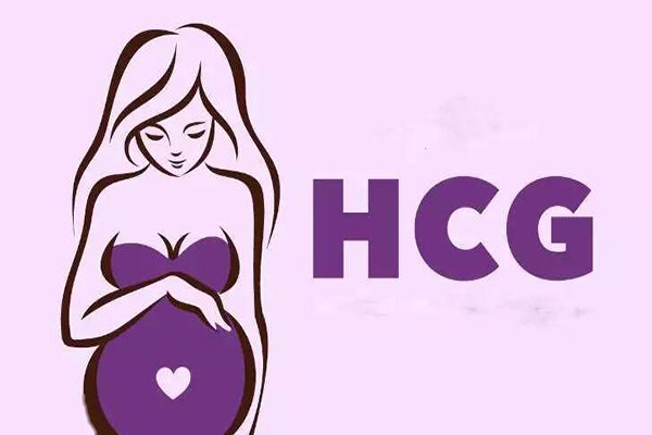 怀孕35天如何通过hcg值辨别男孩和女孩?
