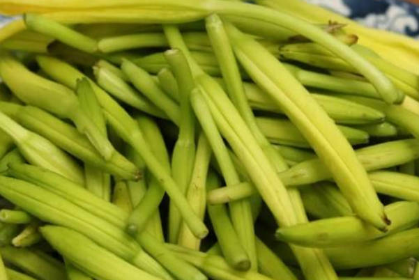 黄花菜中含有秋水仙碱
