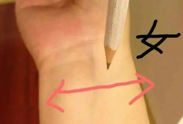 铅笔上下运动生儿子