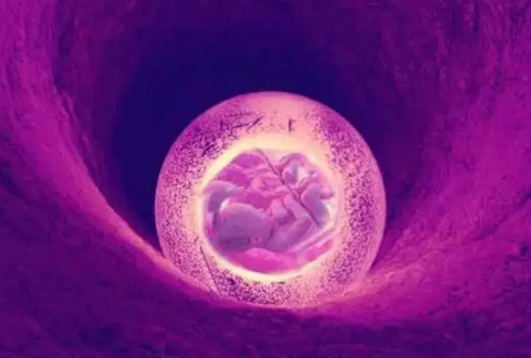 移植第三天的胚胎几天可以着床？这五个关键点帮你科学应对