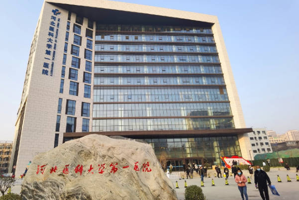 河北医院做试管可增加生龙凤胎概率
