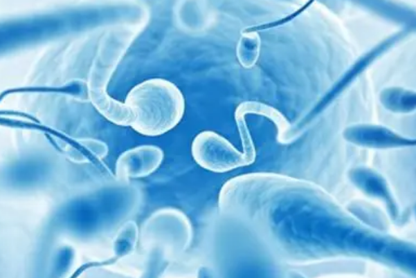 为什么用供精储藏库的精子做二代试管还是会失败呢？